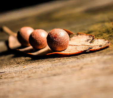 直充平台靠谱的网站攻击测试