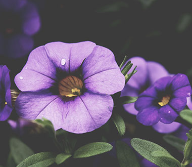 网站ddos隐藏源ip